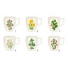 Fotogalerie - Hrnek CREMA Herbs