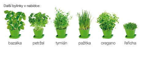 Souprava pro pěstování bylinek SENSE, asijská směs