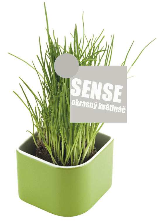 kvetinac sense tescoma